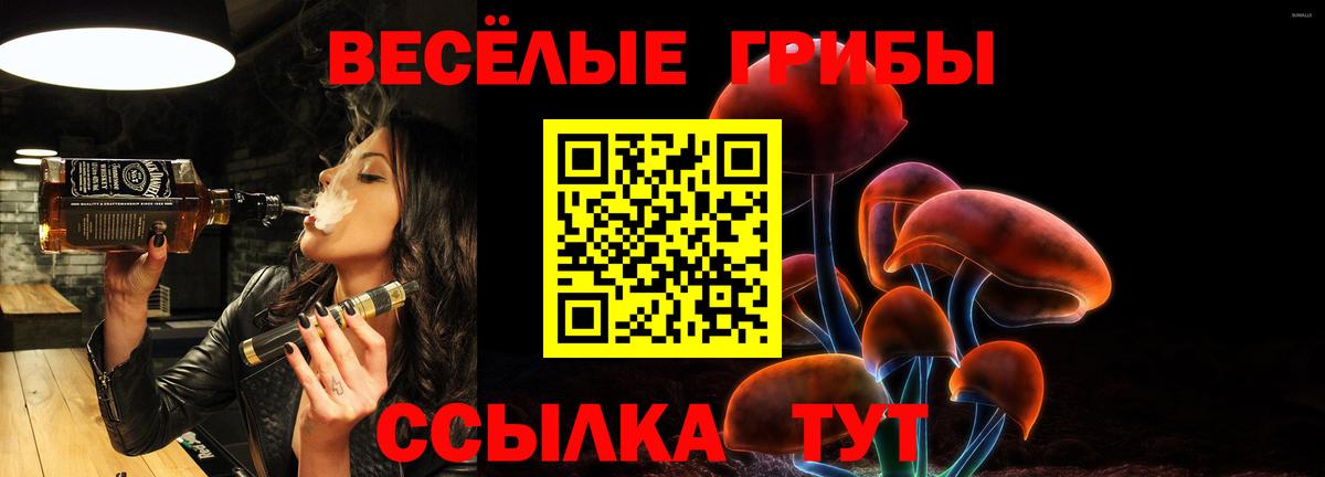 Электрогорск  Галлюциногенные грибы мухоморы  Вход с VPN 